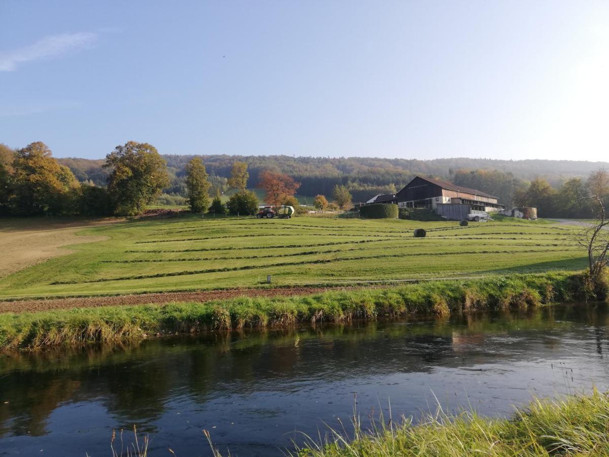 Wilhelmsburg Gruenbauerhof 아파트 외부 사진